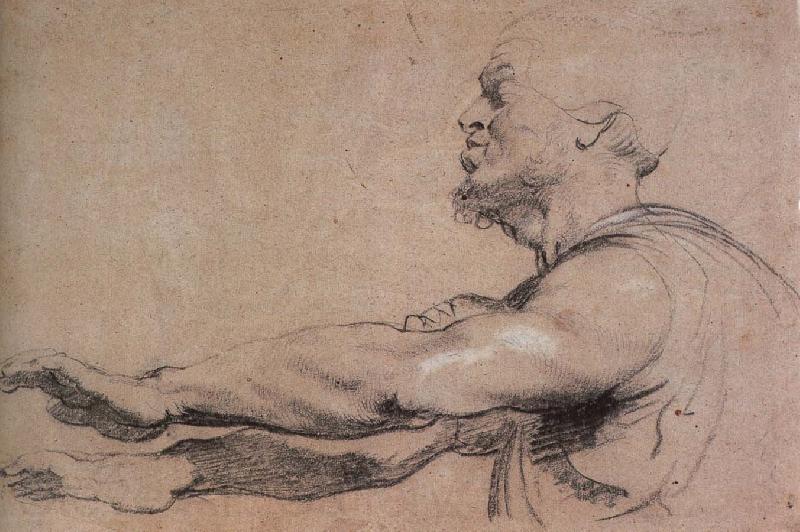 Peter Paul Rubens Blindman reach the arm France oil painting art